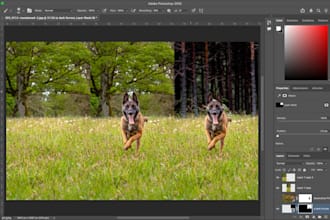 teach editing and ai
