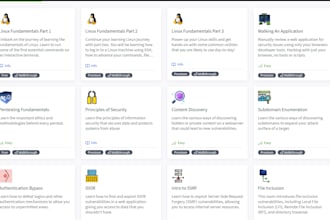 do an owasp top 10 vulnerability assessment and web pentest