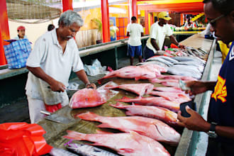 source premium seafood suppliers and exporters from seychelles