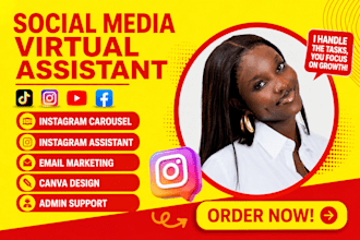 executive personal virtual assistant data entry social media manager adhd VA