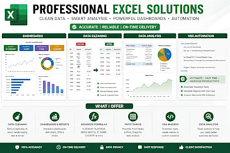 clean, analyze, and visualize excel data