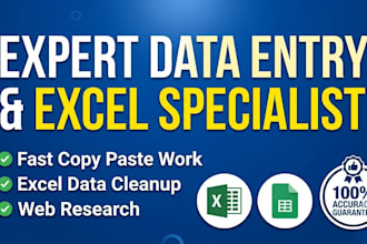 be your professional data entry and excel specialist