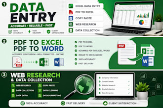 do accurate data entry, excel, PDF to excel, copy paste