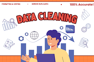 do professional excel data cleaning and formatting