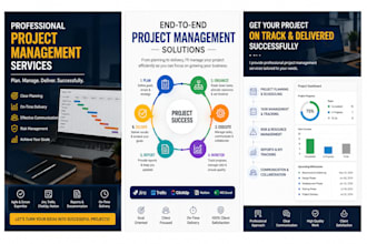 provide end to end project management services