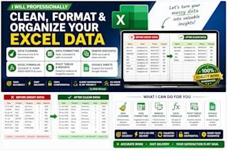 clean, format, organize and filter your excel data