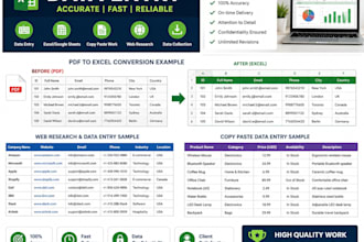 do excel data entry