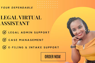 be your professional legal virtual assistant