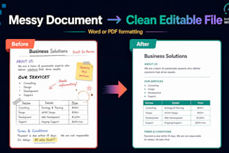 clean and format your messy word or PDF document
