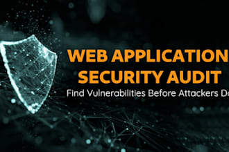 perform professional web application and API security audit