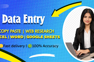 do accurate data entry, excel, copy paste and web research