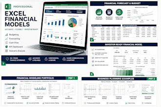 a professional excel financial model