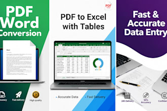 convert PDF data to word and excel with formulas automation