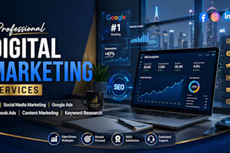 do professional on page SEO for wordpress websites