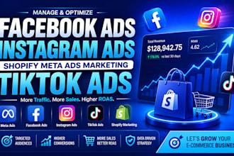 manage facebook ads campaign instagram ads shopify meta ads marketing tiktok ads