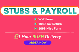 prepare stubs, form w2 and form w3, 1099 and 1040