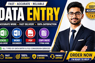 do accurate data entry, copy paste , PDF conversion , excel and word