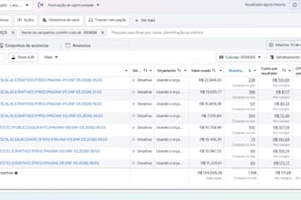 manage and optimize your meta ads campaigns for maximum roas