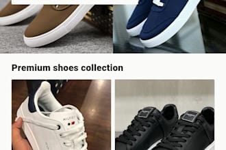 build  basic  shopify store