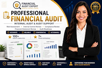 perform  financial audit internal audit, audit ready financial statement review