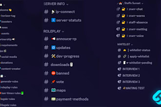 create a professional discord server setup for your community