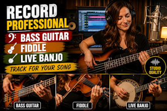 record professional bass guitar, fiddle, live banjo track for your song