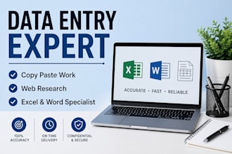 professional data entry and excel copy paste work