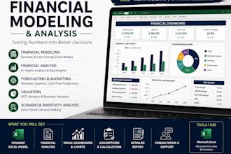 professionally do financial modelling and analysis