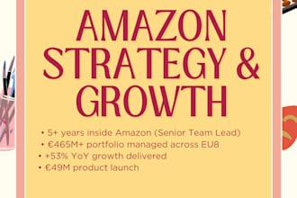 audit your amazon account and create a growth strategy