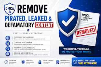 remove pirated, leaked, stolen content from goggle ,reddit, twitter under dmca