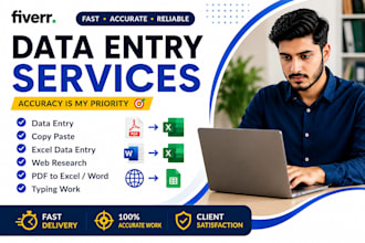 be your virtual assistant for data entry and copy paste work