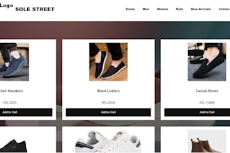 build a professional responsive wordpress website design
