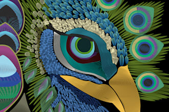 make digital art and designs