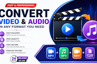 convert video to mp3, mp4 and other formats within 24 hours