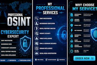 do osint investigation, background check, and cybersecurity assessment