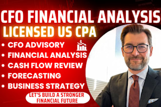 provide cfo financial analysis and business advisory services as a US CPA