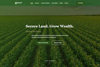 design and develop a modern business website or landing page