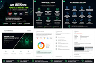 perform expert web application penetration testing