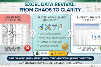 excel data cleaning and analysing