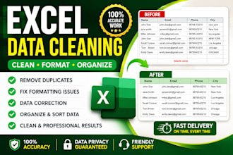 clean and format excel data