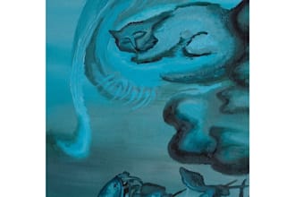 create hand drawn illustrations with a surrealist fine art approach