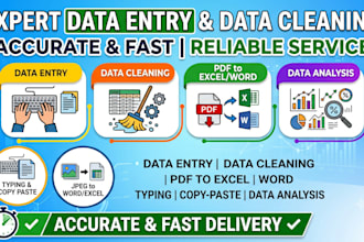 do data entry and data cleaning for you and also tally
