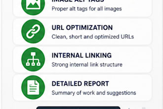 do on page SEO and optimized your word press website