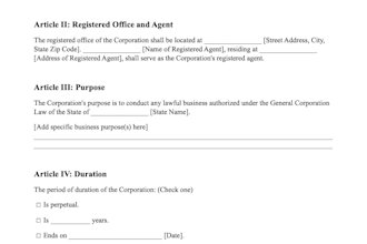 prepare articles of incorporation for your USA business