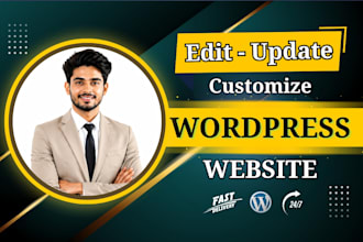 customize, edit and update wordpress website professionally