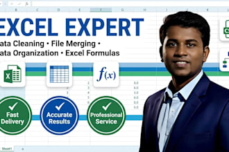 professionally organize, clean, and merge your excel or CSV data