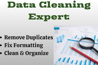 do expert excel data cleaning, sorting, and formatting