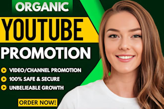 do organic USA youtube video promotion and USA channel promotion