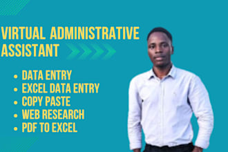 do accurate data entry, copy paste, excel, and web research