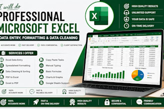 do professional microsoft excel data entry and formatting
